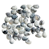 10x14mm Dendrite Opal Pear Cabochon, Natural Dendrite Opal Plain Pear Flat Back