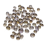 8.5-12mm Ametrine Rose Cut Cabochons, Ametrine Free Form Shape Faceted