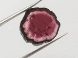 16x18mm Rare Watermelon Tourmaline Rough Slice, OOAK Watermelon Tourmaline Slice Pendant