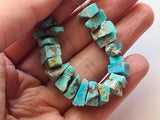 8.5-12mm Arizona Turquoise Rough Beads, Natural Raw Loose Rough Turquoise Gemstones for Necklace, 12 Pc - PDG324A