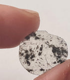 14.9x12.8mm Salt And Pepper Diamond Slice, 0.91 Cts Huge Faceted Salt & Pepper