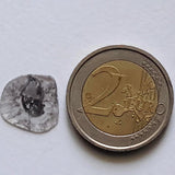 15.3mm, 1.3 Cts Slice Faceted Clear Black Salt And Pepper Diamond For Ring-PPKJ136