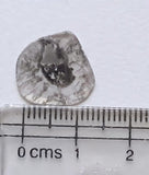 15.3mm, 1.3 Cts Slice Faceted Clear Black Salt And Pepper Diamond For Ring-PPKJ136