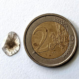 11.8x8.6mm Salt And Pepper 0.59 Cts Huge Rare Faceted Polki Slice Loose Diamond for Jewelry - PDD740
