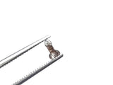Salt And Pepper Penis Cut Polished Diamond Loose Fancy Dick / Penis / Phallus / Willy Diamond For Pendant / Ring / Jewelry 5.1x2.8mm - PDD749