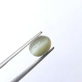 2.15 Cts Cats Eye, CERTIFIED Natural Plain Round Stone, Original Loose Ring Size Cats Eye Gemstone, 7.7x6 mm, 1 Pc - PPH42