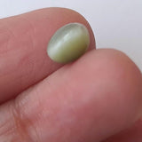 2.15 Cts Cats Eye, CERTIFIED Natural Plain Round Stone, Original Loose Ring Size Cats Eye Gemstone, 7.7x6 mm, 1 Pc - PPH42