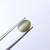 2.15 Cts Cats Eye, CERTIFIED Natural Plain Round Stone, Original Loose Ring Size Cats Eye Gemstone, 7.7x6 mm, 1 Pc - PPH42