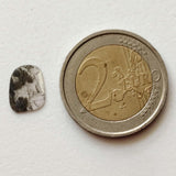 Beautiful Salt And Pepper Diamond, Conflict FREE 11.1x8.5mm, 0.75 Cts Slice Faceted Clear Black Diamond For Jewelry - PPKJ144