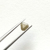 4.5mm Grey Trillion Diamond, Natural Grey Raw Rough Loose Trillion Diamond For Ring / Pendant / Jewelry - PVD85