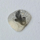 9.4x8.4mm Salt And Pepper Diamond Slice, 0.5 Ct Faceted Salt & Pepper Diamond Polki Slice Loose Jewelry - PDD886