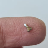 Brown And Pepper Penis Cut Polished Diamond Loose Fancy Dick / Penis / Phallus / Willy Diamond For Pendant / Ring / Jewelry 5.4mm - PDD905