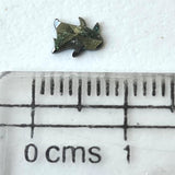 5.4mm Rare Blue Penguin Cut Polished Diamond Slice, Loose Fancy Penguin Diamond For Pendant / Ring / Earrings / Jewelry For Her - PDD914