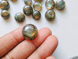 10-11mm Labradorite Plain Round Cabochons, 5 Pieces Flat Back Loose Labradorite Cabochons Blue Fire Stone For Jewelry - KRS193