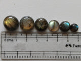 10-11mm Labradorite Plain Round Cabochons, 5 Pieces Flat Back Loose Labradorite Cabochons Blue Fire Stone For Jewelry - KRS193