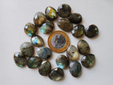 20-22mm Labradorite Rose Cut Cabochons, Labradorite Faceted Flat Back Cabochons For Jewelry, 5 Pcs - GODP508