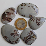 33-52mm Huge Jasper Cabochons, Mix Shape Plain Flat Back Cabochons, 5 Pcs Loose