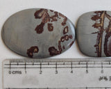 33-52mm Huge Jasper Cabochons, Mix Shape Plain Flat Back Cabochons, 5 Pcs Loose