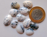 13-17mm Dendrite Opal Cabochon, Dendrite Opal Rose Cut Flat Back Cabs