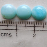 8.5mm Blue Opal Cabochons, Blue Opal Plain Round Flat Back Cabochons For Jewelry (5 Pcs To 10 Pcs) - PDG195Z