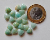 8mm Amazonite Trillion Faceted Gemstones, 6 Pcs Loose Double Side Cut Amazonite Trillion Gemstones For Jewelry - KRS295Z