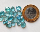 8-10mm Blue Apatite Cabochons, 5 Pcs Natural Plain Free Form Shape Blue Apatite
