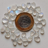 7-11mm Rainbow Moonstone Cabochons, Natural Hand Carved Leaf Shape Cabochons