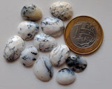 13-17mm Dendrite Opal Cabochon, Dendrite Opal Rose Cut Flat Back Cabs