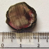 16x18mm Rare Watermelon Tourmaline Rough Slice, OOAK Watermelon Tourmaline Slice Pendant