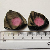 22x24mm Rare Watermelon Tourmaline Rough Slices,OOAK Matched Pair