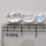 7-10mm Rainbow Moonstone Plain Cabochons, Plain Free Form Shape Moonstone
