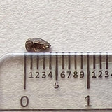 Conflict Free 4x2.6mm Salt Pepper Pear Cut Diamond Loose Diamond-PAD32