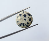 14mm Natural Dalmatian Jasper Faceted Round Cabochons for Jewelry (5Pc To 10Pcs)