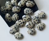 14-15mm Dalmatian Jasper Faceted Free Form Cabochon for Jewelry (5Pc To 10Pc)