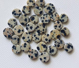 6-7mm Natural Dalmatian Jasper Cabochons for Jewelry (10Pcs To 20Pcs Options)