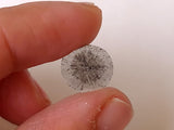 11mm 0.60 Cts Huge Rare Faceted Salt & Pepper Polki Slice Diamond for Jewelry