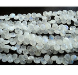 9-12 mm Rainbow Moonstone Faceted Heart Beads, Rainbow Moonstone Beads, Rainbow