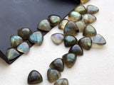 8-9mm Labradorite Plain Trillion Cabochons Blue Fire Stone Labradorite Flat Back