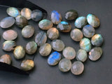 12-14mm Labradorite Rose Cut Oval Stones, Labradorite Both Side Faceted