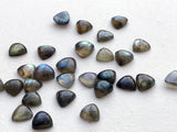 8-9mm Labradorite Plain Trillion Cabochons Blue Fire Stone Labradorite Flat Back