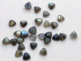 8-9mm Labradorite Plain Trillion Cabochons Blue Fire Stone Labradorite Flat Back