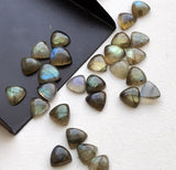 8-9mm Labradorite Plain Trillion Cabochons Blue Fire Stone Labradorite Flat Back