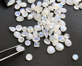 6-12mm Rainbow Moonstone Plain Flat Back Cabochons, Mixed Shape Lot Cabochons