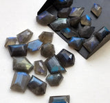 15-20mm Labradorite Fancy Cut Cabochons, Blue Fire Rose Cut Flat Back Cabochons