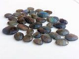 11-22mm Labradorite Rose Cut Free Form Cabochons, Labradorite Flat Back Cabochon