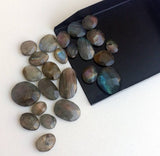 11-22mm Labradorite Rose Cut Free Form Cabochons, Labradorite Flat Back Cabochon