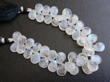 9x12 mm-10x14 mm Rainbow Moonstone Plain Pear Beads, 20 Pcs Natural Rainbow