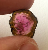 16mm Rare Watermelon Tourmaline Rough Slice, OOAK Slice Pendant For Jewelry