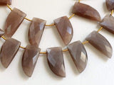 11x25 mm Chocolate Moonstone Faceted Horn Shape Beads, Natural Chocolate