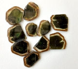 9-12mm Green Tourmaline Slices, Loose Green Tourmaline Gemstones, 5 Pcs Slices